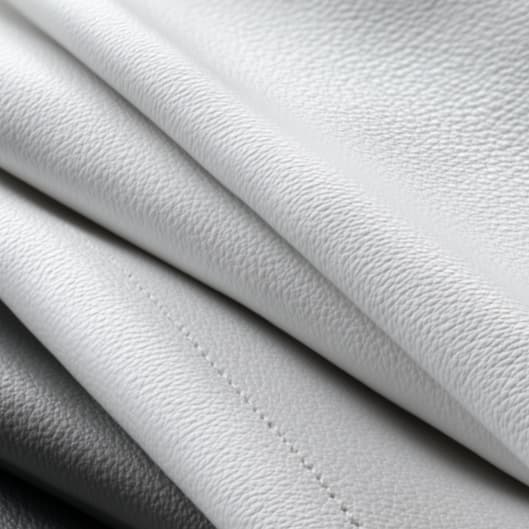 6 Month Wellness Club Membership